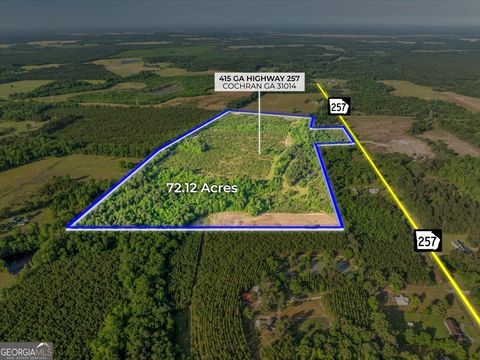Unimproved Land in Cochran GA 415 Ga Highway 257.jpg
