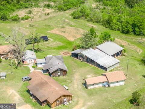 Single Family Residence in Danville GA 1779 Lucy Chapel Road 65.jpg