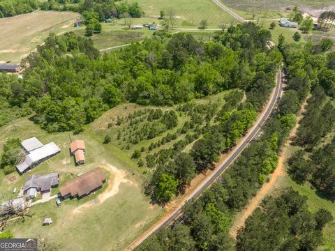 Single Family Residence in Danville GA 1779 Lucy Chapel Road 55.jpg