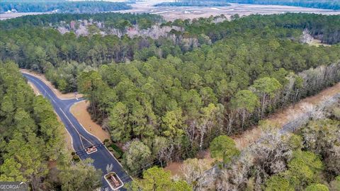 Agriculture in Townsend GA LOT 83 Fiddlers Cove.jpg