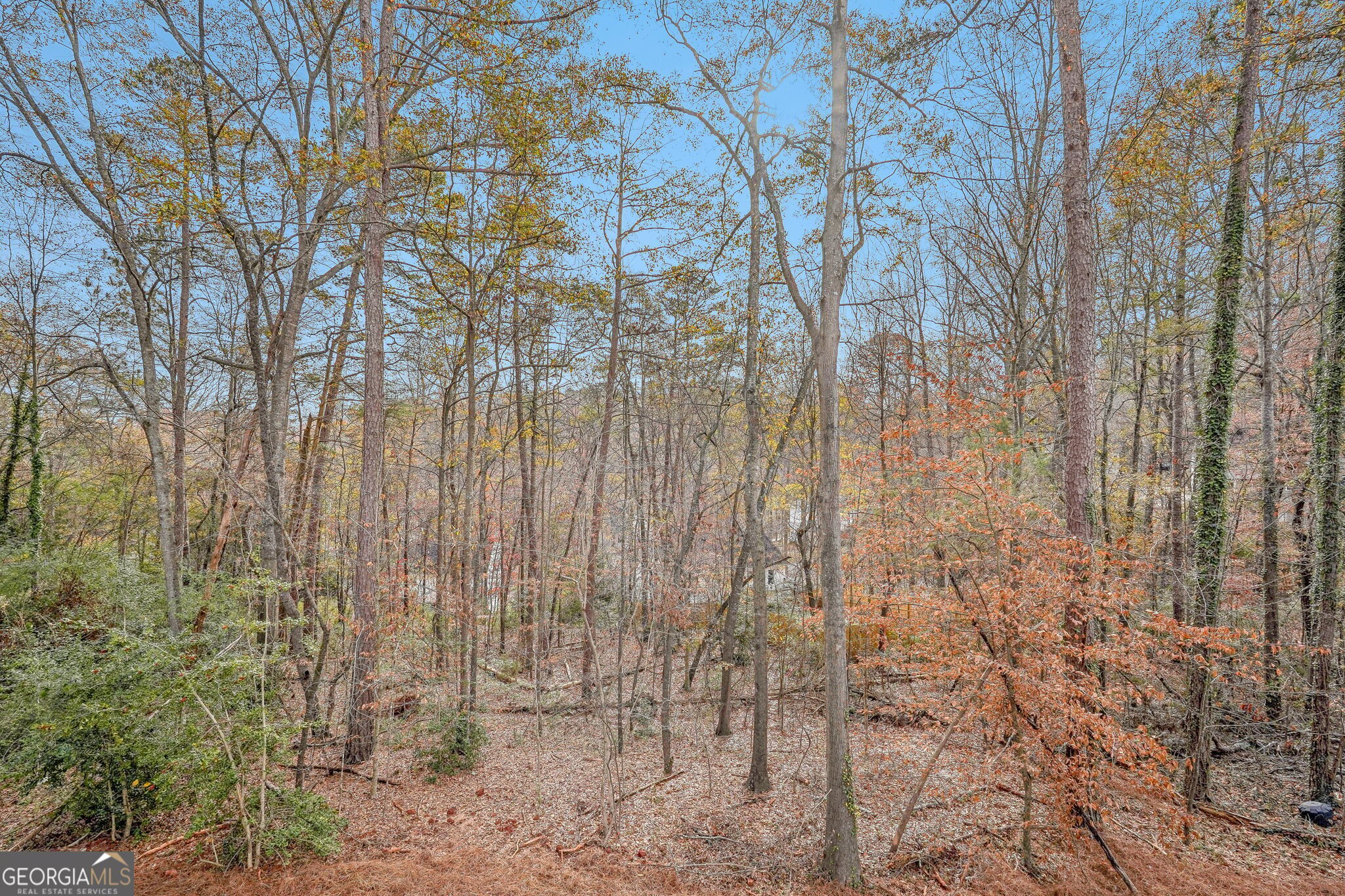 Single Family Residence in Gainesville GA 6510 Crystal Cove Trail 2.jpg