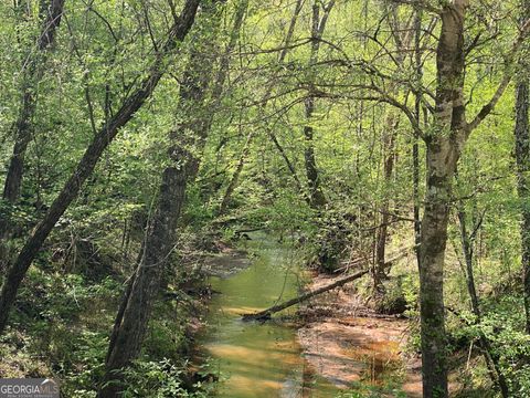 Unimproved Land in Forsyth GA 90 +/- ACRES English Road.jpg