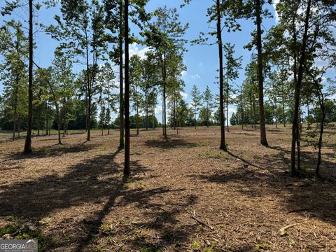  in Roopville GA LOT 3 Happy Hollow Rd.jpg