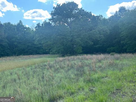Unimproved Land in Sylvania GA 0 Lewis Station Road.jpg