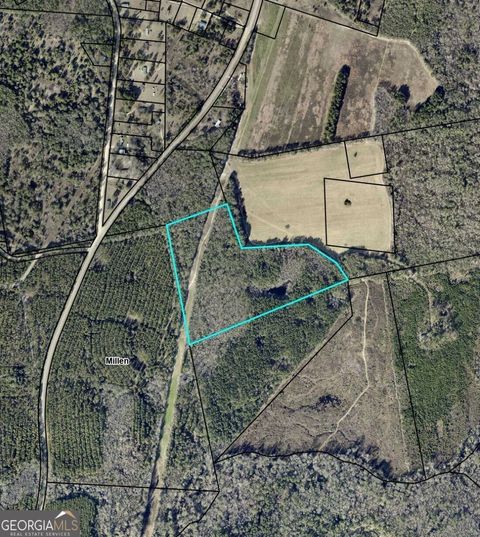 Agriculture in Millen GA 0 Perkins Road.jpg