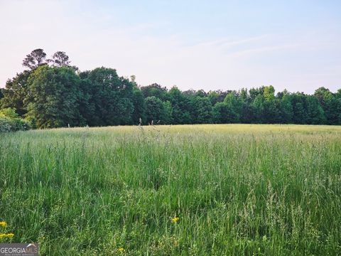  in Roopville GA 0 Welcome Road, Tract 3.jpg