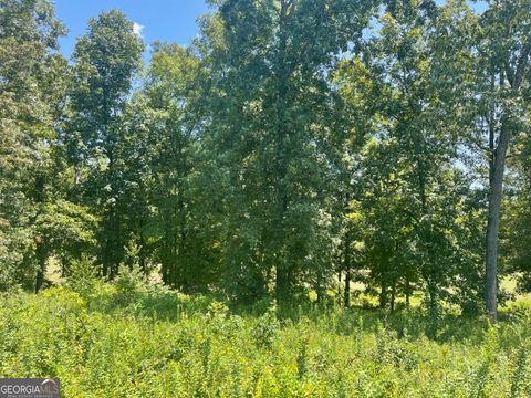  in Hawkinsville GA LOT 11 Oak Drive.jpg