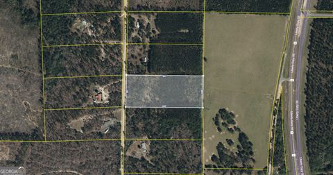 in Butler GA 6.16 ACRES S Mt Sinai Road.jpg