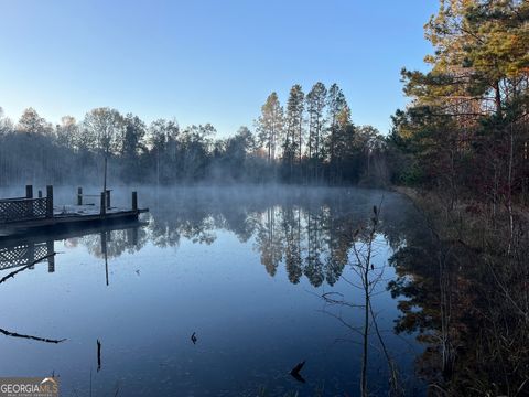 Unimproved Land in Willacoochee GA 1010 Oveda Fussell Road.jpg