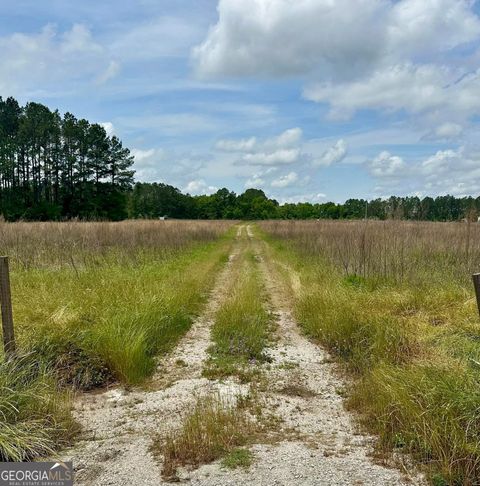 Agriculture in Sylvania GA 5324 Statesboro Highway.jpg