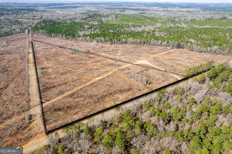 Agriculture in Dry Branch GA 869 Marion-Ripley Road.jpg