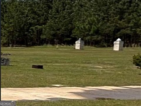 Unimproved Land in Sylvania GA 296 Cameron Road.jpg