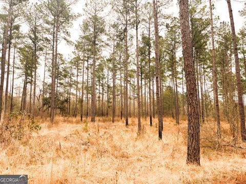 Unimproved Land in Bainbridge GA 0 Newton Road.jpg