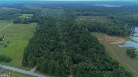 Unimproved Land in Elko GA 0 Grovania Road.jpg