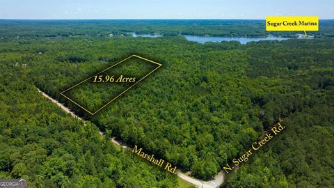 Unimproved Land in Buckhead GA LOT 36 Marshall Road.jpg