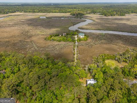  in Darien GA LOT 8 W Black Island Road.jpg
