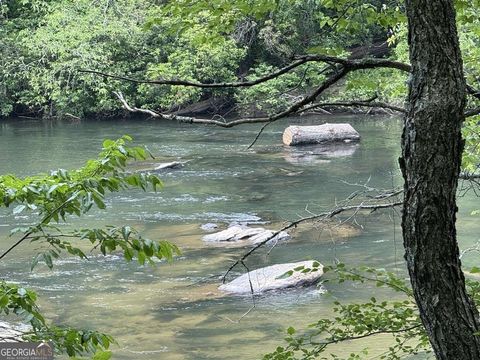 in Demorest GA 0 Thunderhead Trail.jpg