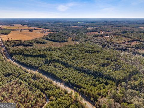 Unimproved Land in St. George GA 0 State Road 185.jpg
