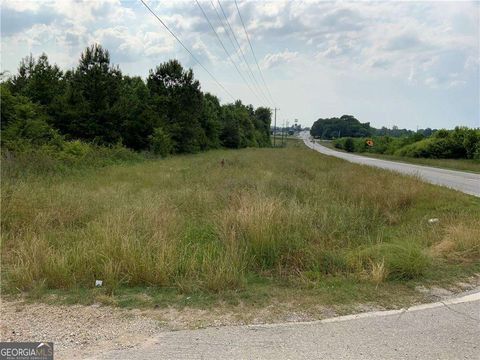 Unimproved Land in Carnesville GA HWY 51 OWL HOLLOW Road.jpg