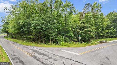 Unimproved Land in Kingston GA 0 McClain Road.jpg