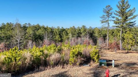 in Blairsville GA LOT 328 Thirteen Hundred.jpg
