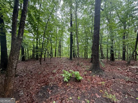  in Toccoa GA 0 Hammond Drive.jpg