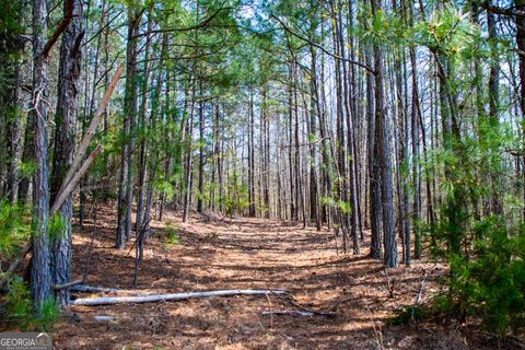 Unimproved Land in Villa Rica GA 3940 Clinton Court.jpg