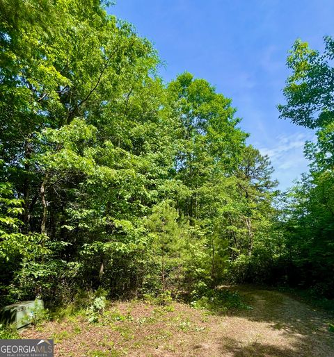 Agriculture in Dillard GA 0 Bluff Mtn.jpg