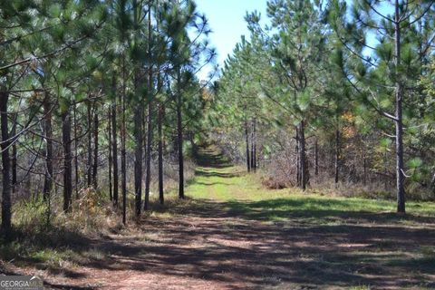 Agriculture in Jeffersonville GA 0 Shiloh Church Road.jpg