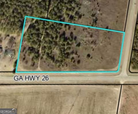  in Hawkinsville GA 6.44 acres Hwy 26.jpg