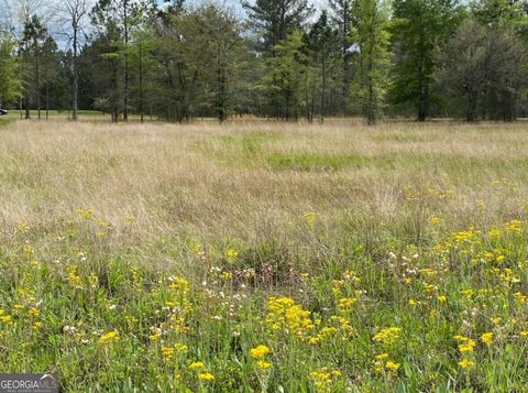  in Fleming GA 0 Main Trail.jpg