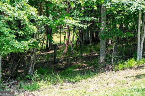 Single Family Residence in Blairsville GA 566 Tree Line Drive 42.jpg
