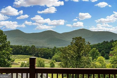 Single Family Residence in Blairsville GA 566 Tree Line Drive 28.jpg