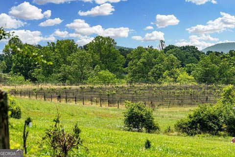 Single Family Residence in Blairsville GA 566 Tree Line Drive 41.jpg
