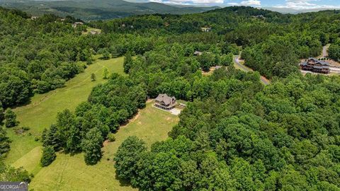 Single Family Residence in Blairsville GA 566 Tree Line Drive 46.jpg