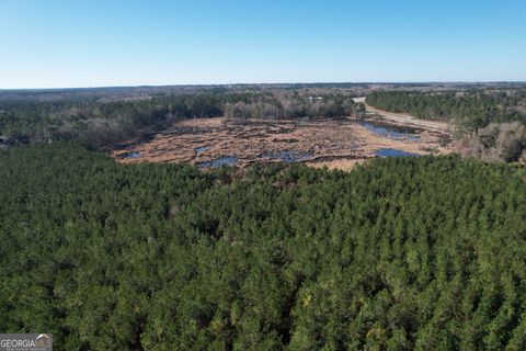 Unimproved Land in Sylvania GA 0 Burtons Ferry Highway.jpg