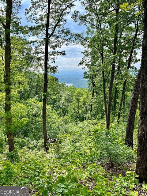 in Blairsville GA LOT 103 Highland Park.jpg