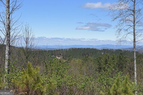  in Blairsville GA LOT 86 Thirteen Hundred S/D #86.jpg