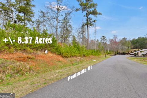  in Monticello GA 1 PENINSULA Drive.jpg