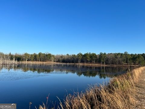 Unimproved Land in Butler GA 010 Mallard Circle.jpg