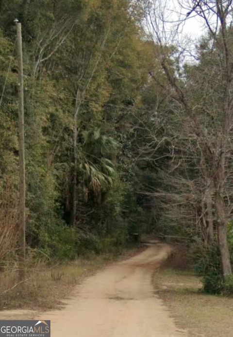 Unimproved Land in Bainbridge GA 467 745 Lot North Street.jpg