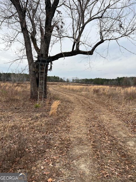 Agriculture in Eastman GA 0 Studstill Road.jpg