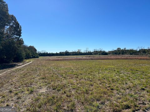 Agriculture in Reynolds GA 129 Gaultney Horne Road.jpg