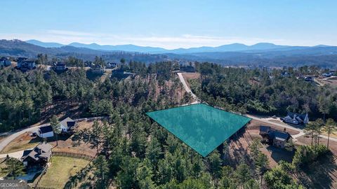  in Blairsville GA LOT 324 Thirteen Hundred.jpg