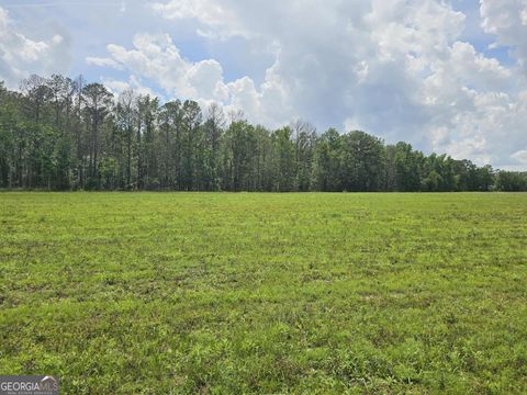 Unimproved Land in Brooklet GA 10143 Us Highway 80.jpg