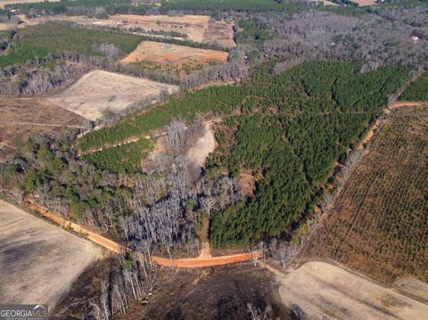 Agriculture in Sylvania GA 0 Beulah Road.jpg