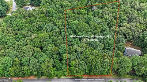 Unimproved Land in Whitesburg GA 40 Coral Drive.jpg