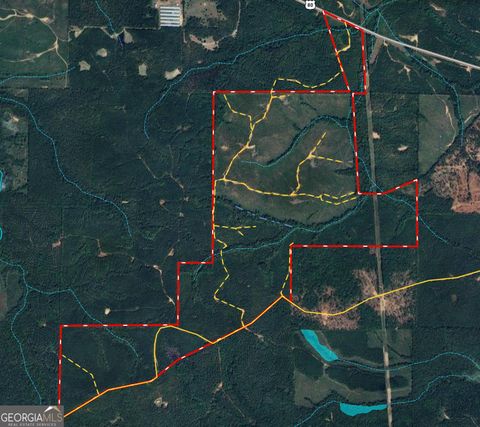 Unimproved Land in Butler GA 650+/- AC Talbotton HWY.jpg