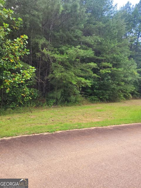  in Martin GA 175 Gregory Drive.jpg