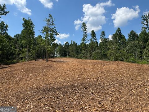Unimproved Land in Roopville GA LOT 4 Happy Hollow Rd.jpg